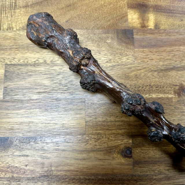 Walking Stick 6.jpeg_23397
